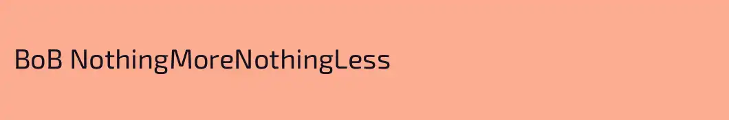 BoB NothingMoreNothingLess
